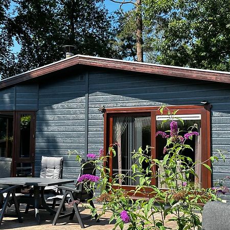 Dubbele Chalet Op Recreatiepark Topparken Op De Veluwe In Beekbergen Met Grote Vrije Tuin En Eigen Parkeerplaats Екстериор снимка